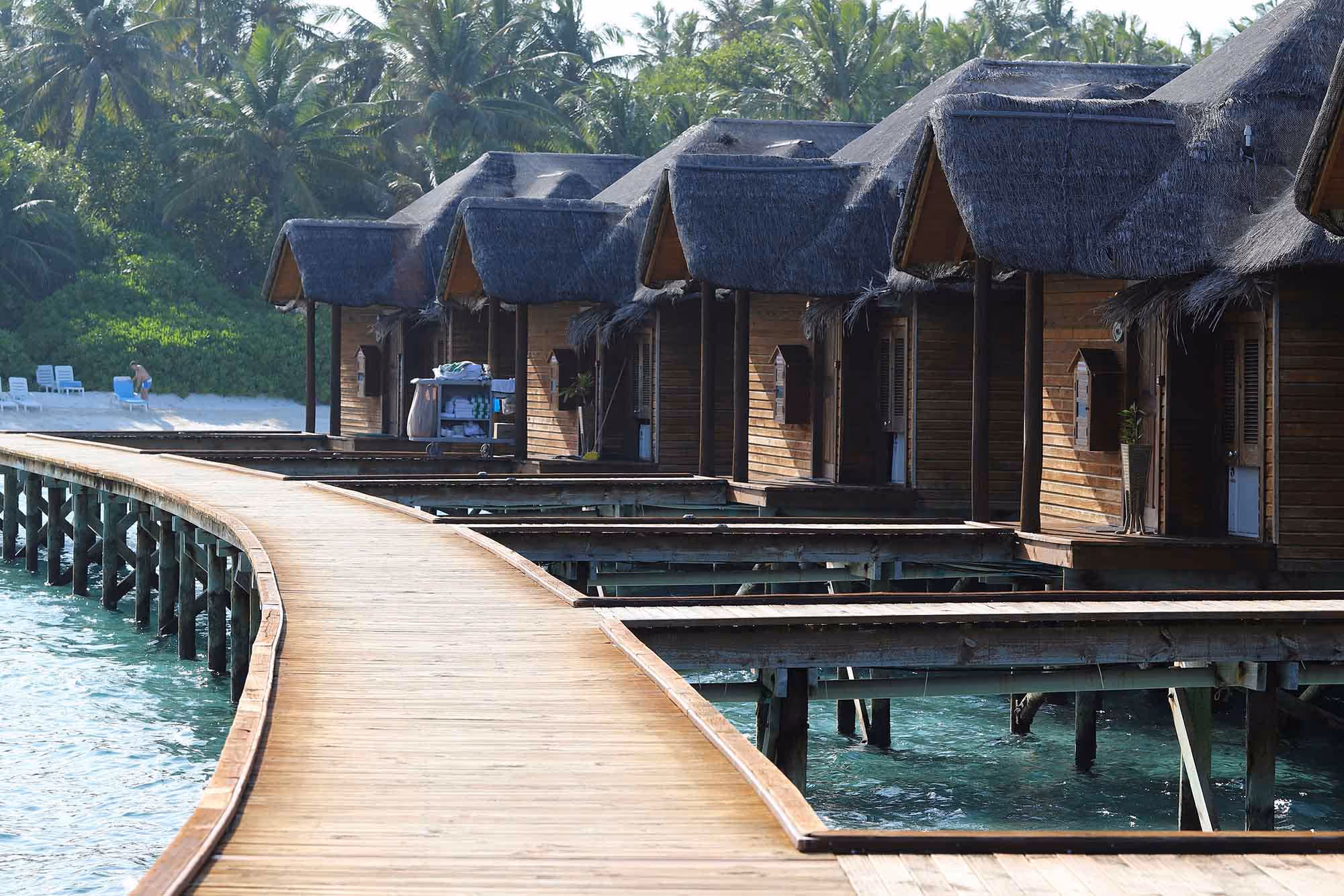 Resort cabins nestled in nature