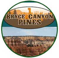 BryceCanyonPines